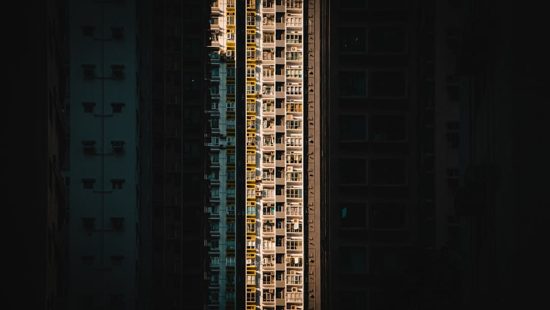 山东港口青岛港外贸航线数量继续添加